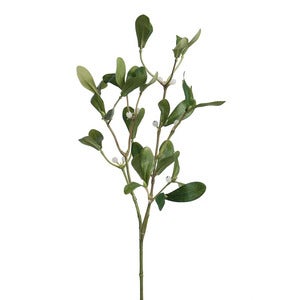 Misteli 60 cm